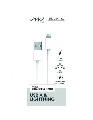 Cable USB A vers Lightning...